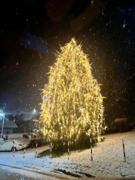 PRAZNIČNA OBČINA ŠKOFLJICA  -  FOTO UTRINKI ( foto: Franci Hrastar)